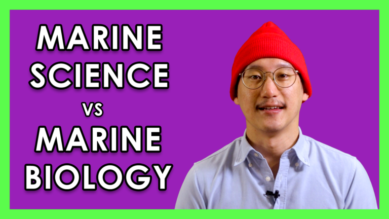 marine science vs marine biology